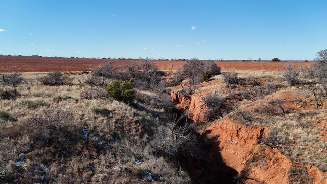 Farm To Market Road 656, Turkey, TX 79261