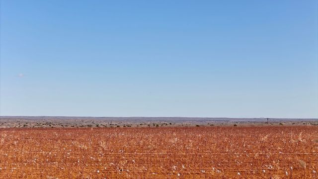 Farm To Market Road 656, Turkey, TX 79261