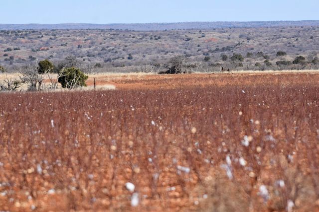 Farm To Market Road 656, Turkey, TX 79261