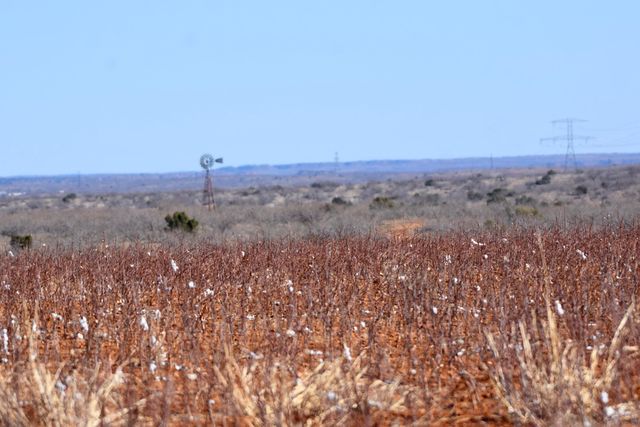 Farm To Market Road 656, Turkey, TX 79261