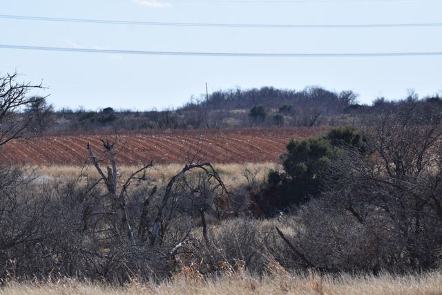 Farm To Market Road 656, Turkey, TX 79261