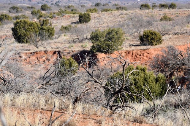 Farm To Market Road 656, Turkey, TX 79261