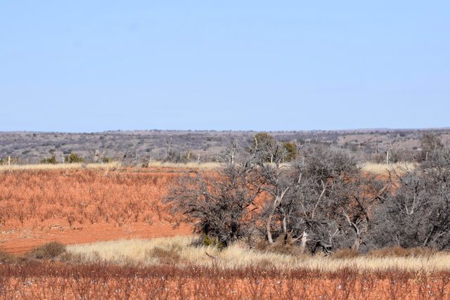 Farm To Market Road 656, Turkey, TX 79261