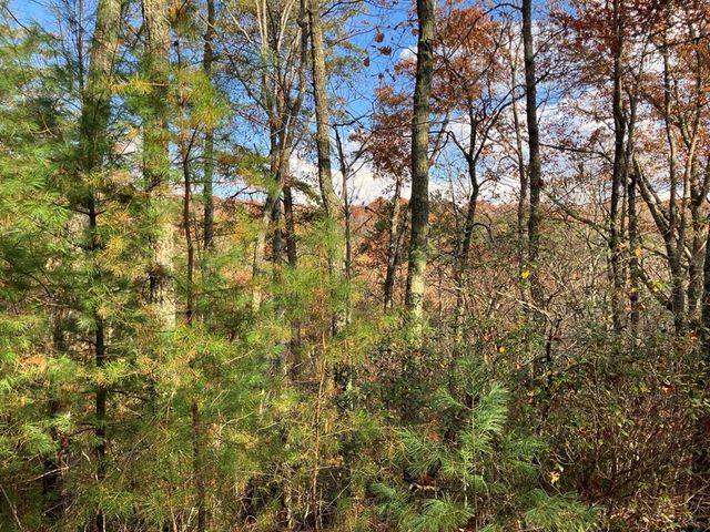 LT24 Mission Ridge Court, Hayesville, NC 28904