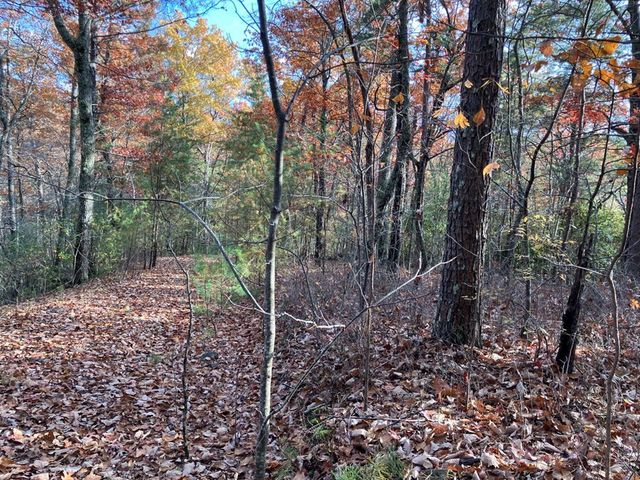 LT24 Mission Ridge Court, Hayesville, NC 28904