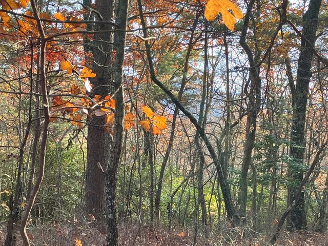 LT24 Mission Ridge Court, Hayesville, NC 28904