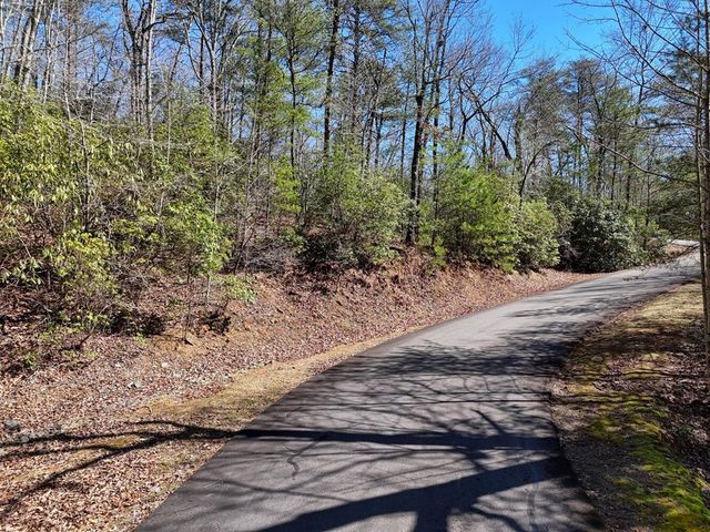 LT24 Mission Ridge Court, Hayesville, NC 28904