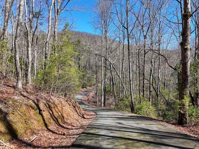 LT24 Mission Ridge Court, Hayesville, NC 28904