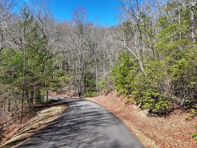 LT24 Mission Ridge Court, Hayesville, NC 28904