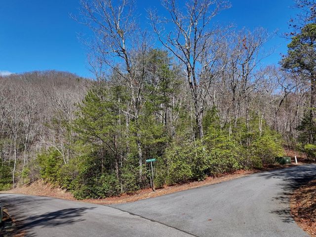 LT24 Mission Ridge Court, Hayesville, NC 28904