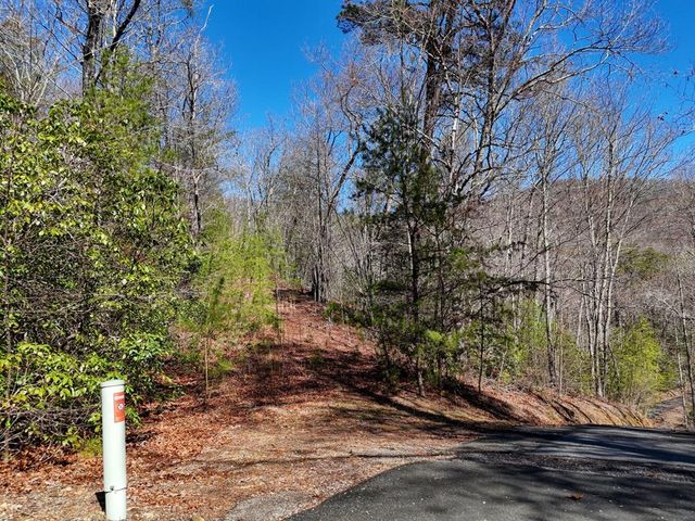 LT24 Mission Ridge Court, Hayesville, NC 28904
