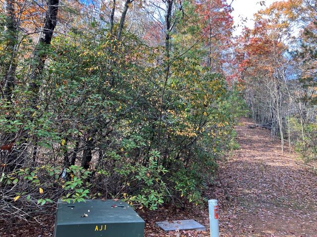 LT24 Mission Ridge Court, Hayesville, NC 28904