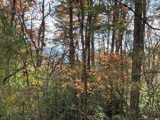 LT24 Mission Ridge Court, Hayesville, NC 28904