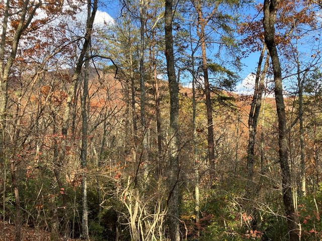 LT24 Mission Ridge Court, Hayesville, NC 28904