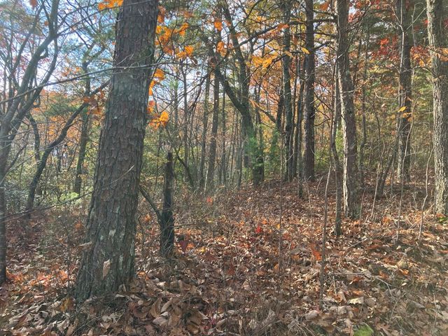 LT24 Mission Ridge Court, Hayesville, NC 28904