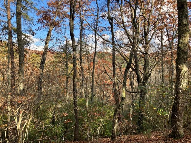 LT24 Mission Ridge Court, Hayesville, NC 28904