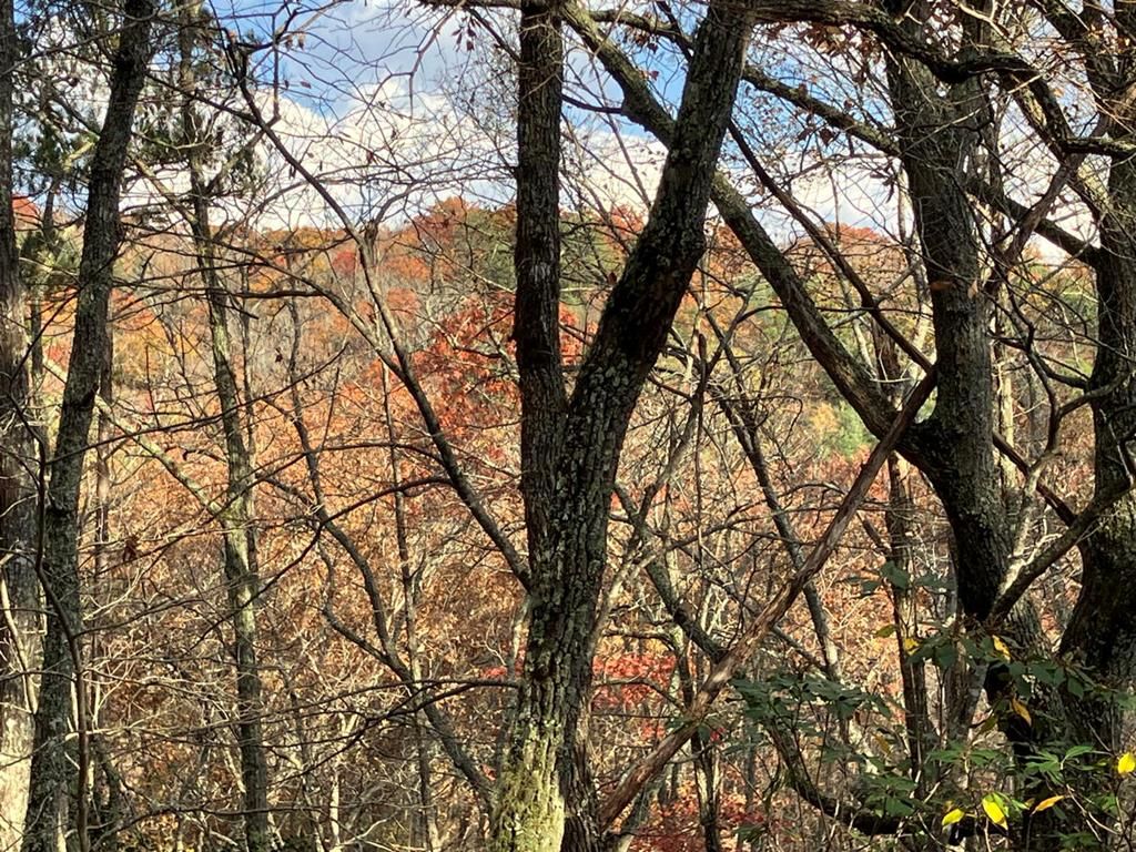 LT24 Mission Ridge Court, Hayesville, NC 28904