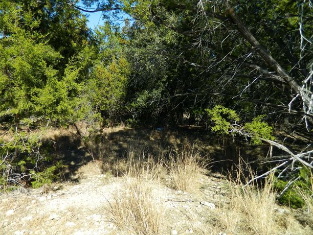 21108 Santa Rosa Ave, Lago Vista, TX 78645