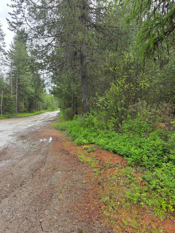 NNA Carpenter Dr, Newport, WA 99156