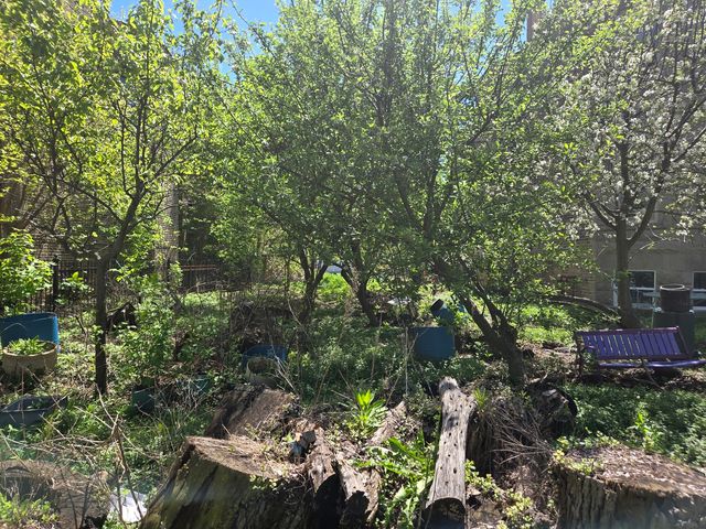 1839 W Touhy Avenue, Chicago, IL 60626