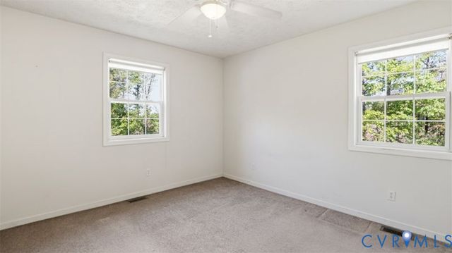 17159 Pryor Ln, Montpelier, VA 23192