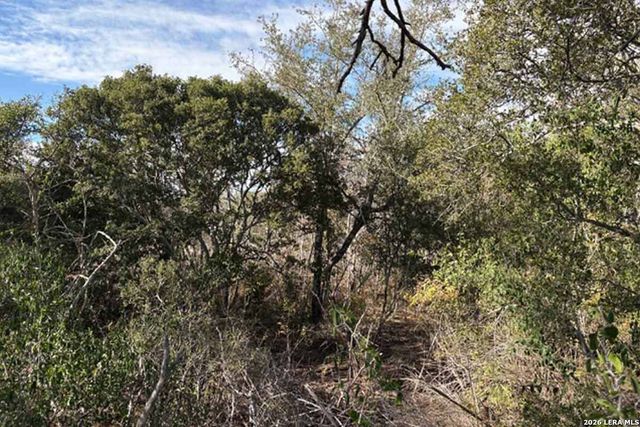 8.3 ACRES New Sulphur Springs Road, San Antonio, TX 78263