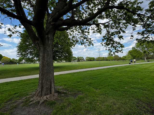 414 NE 9th Street, Ankeny, IA 50021