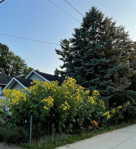 221 Nelson Avenue, Kalamazoo, MI 49006
