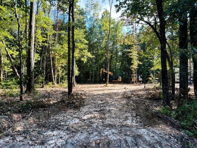 Tract 3 Pleasant Hill Road, Ten Mile, TN 37880