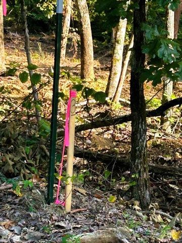 Tract 3 Pleasant Hill Road, Ten Mile, TN 37880