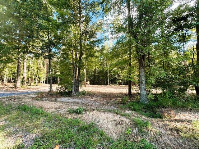 Tract 3 Pleasant Hill Road, Ten Mile, TN 37880