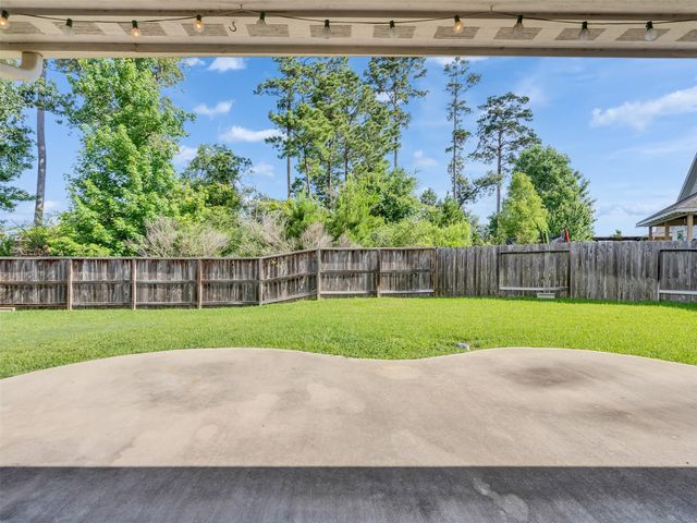 14106 Locke Point Court, Conroe, TX 77384