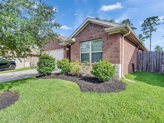 14106 Locke Point Court, Conroe, TX 77384