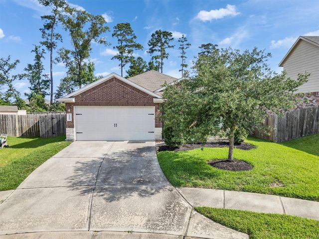 14106 Locke Point Court, Conroe, TX 77384