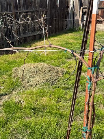 227 E 3rd, Kennewick, WA 99336