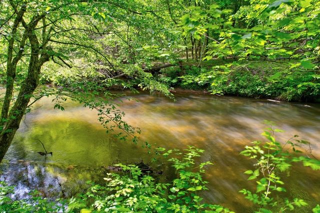 369 Trillium Road, Suches, GA 30572