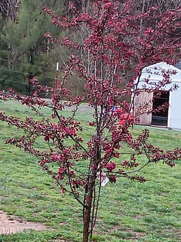 935 Adams Lane, Mooresburg, TN 37811