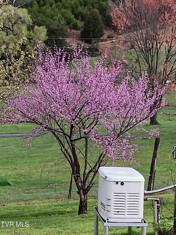 935 Adams Lane, Mooresburg, TN 37811