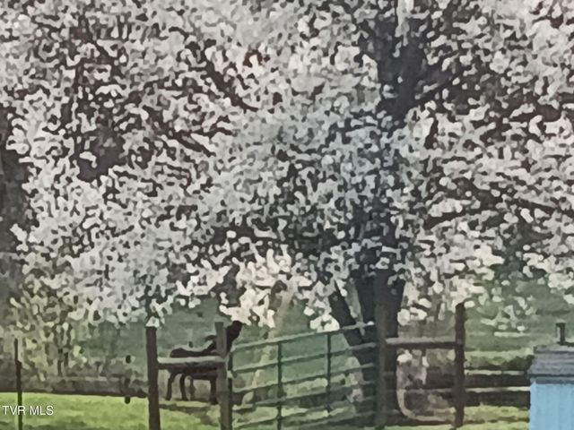 935 Adams Lane, Mooresburg, TN 37811