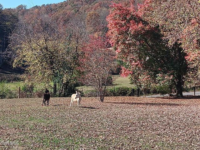 935 Adams Lane, Mooresburg, TN 37811