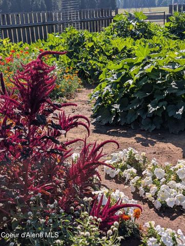 1247 Lost Mile RD, Bonners Ferry, ID 83805