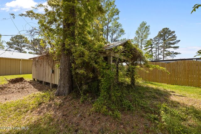 1103 Broad Street Ext, Oriental, NC 28571