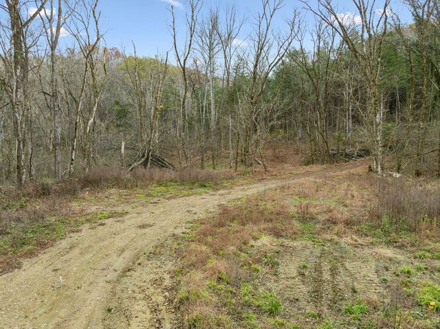 0 Long Branch Rd, Lancaster, TN 38569