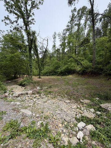 0 Long Branch Rd, Lancaster, TN 38569