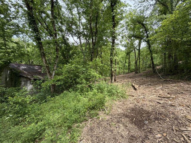 0 Long Branch Rd, Lancaster, TN 38569