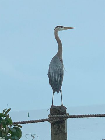 32680 S River Road, Harrison Twp, MI 48045