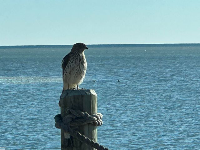 32680 S River Road, Harrison Twp, MI 48045