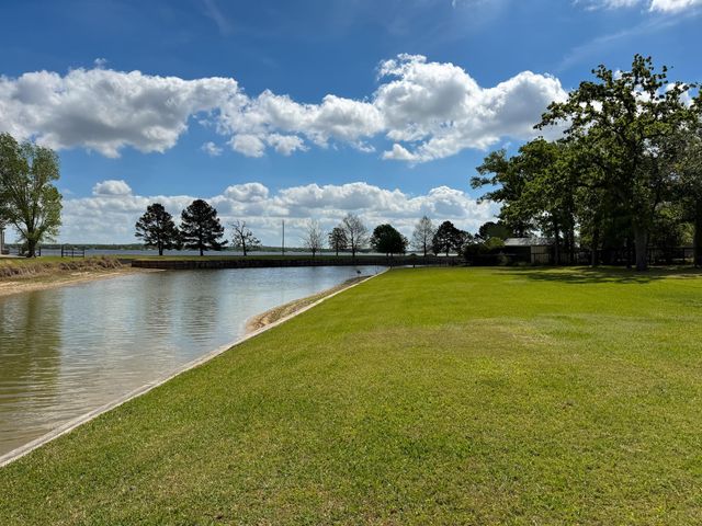 20707 Youpon Court, Thornton, TX 76687