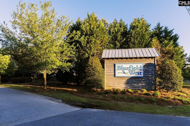 130 Tannery Way, Lexington, SC 29073