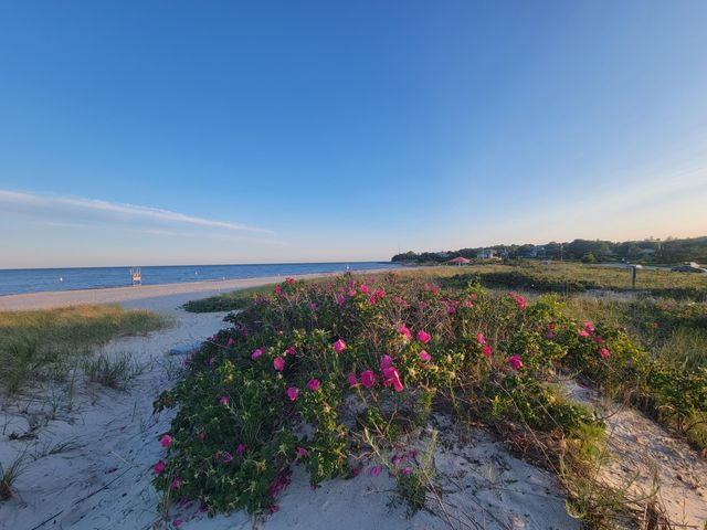 177 Bayview Circle, Osterville, MA 02655